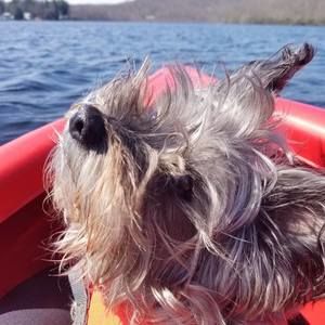 Meet your Posher, Leslie